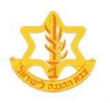 האקדמיה לרפואה צבאית